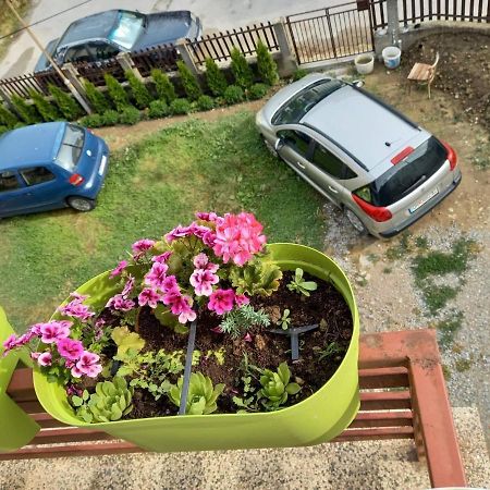 Apartmants Djekovi Ohrid Kültér fotó