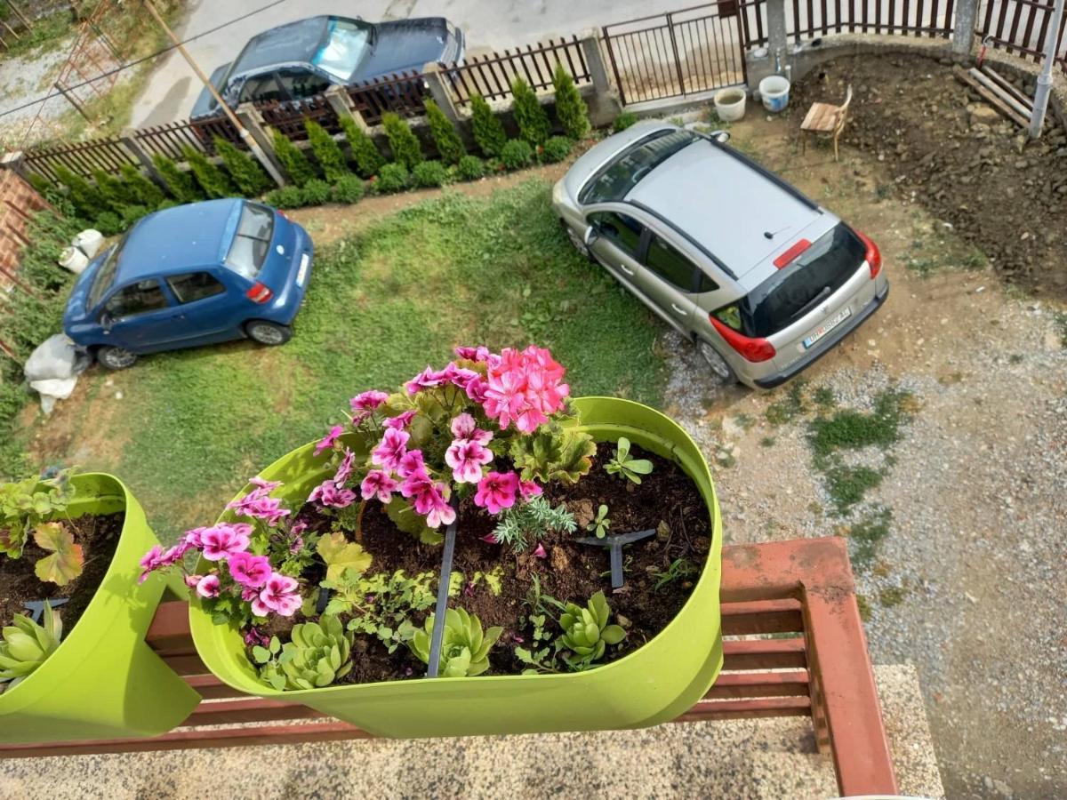 Apartmants Djekovi Ohrid Kültér fotó